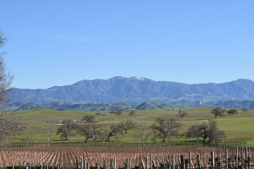 Santa  Barbara County Vineyard Mountain Views