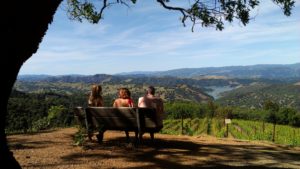 California Wine Vineyard Views